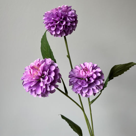 Dahlia Pompon Spray - Paars