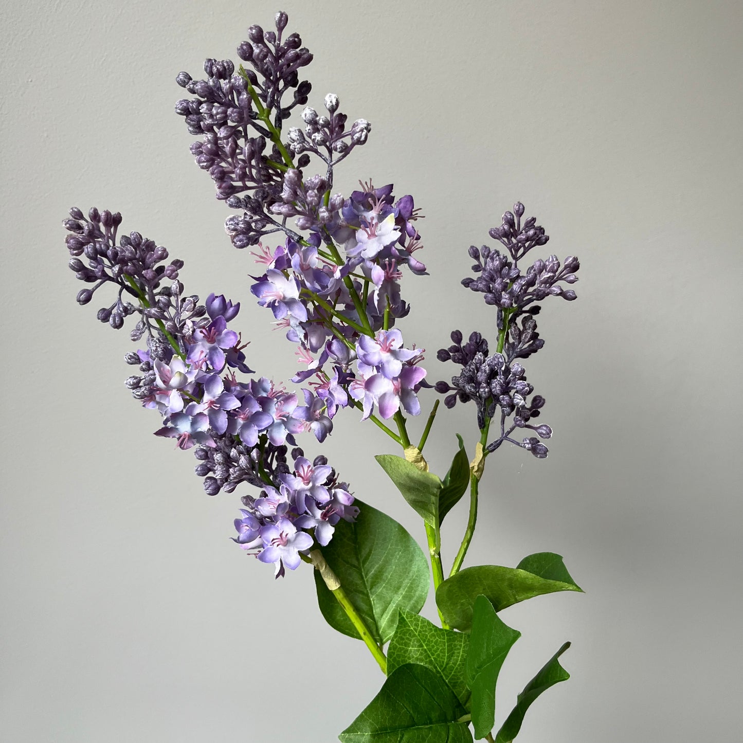 Sering Spray - Lila