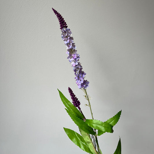Veronica (Ereprijs) - Lila/Paars