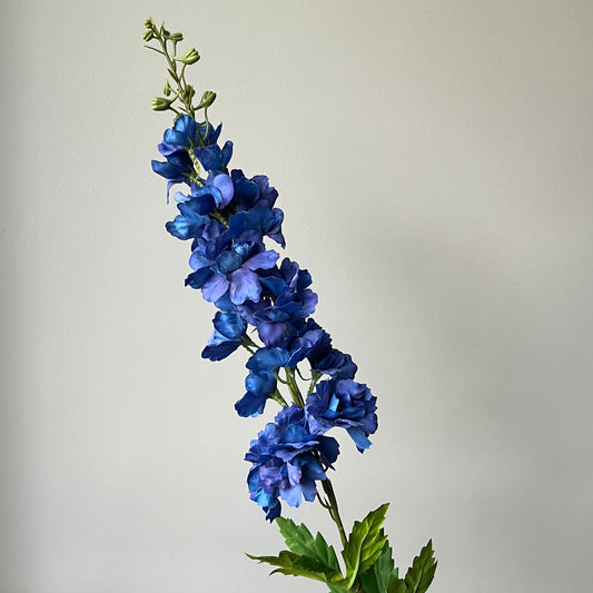 Delphinium (Ridderspoor) - Kobalt Blauw