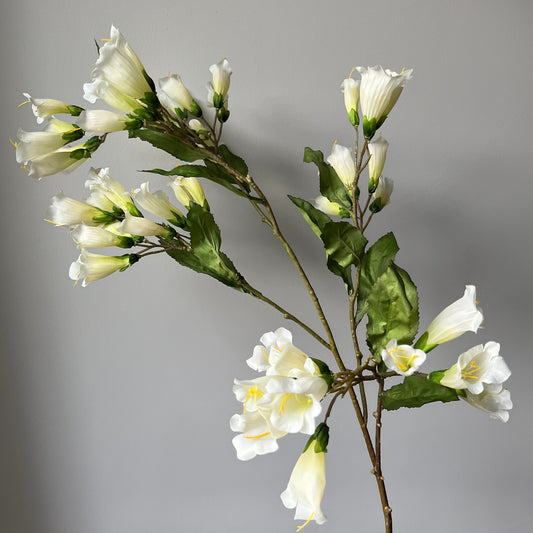 Jacaranda Spray - Wit