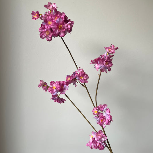 Bloesem Prunus - Mauve
