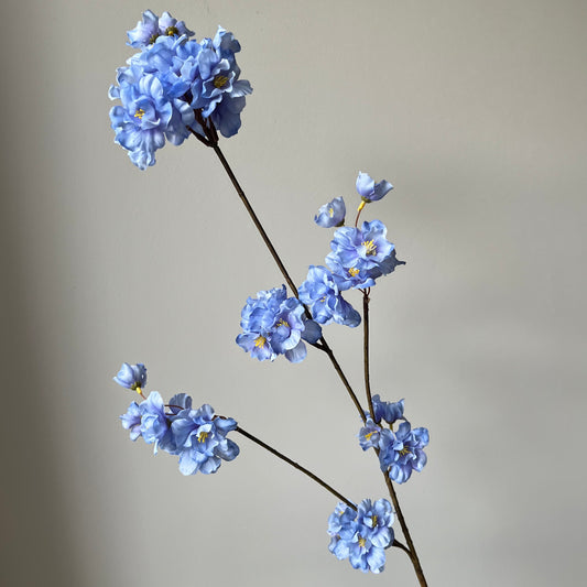 Bloesem Prunus - Blauw