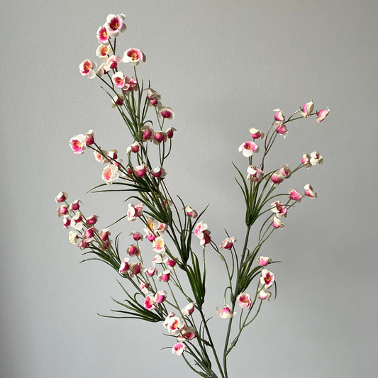 Bloesemtak Brem - Roze/wit