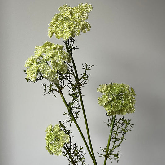 Dille Spray - Groen