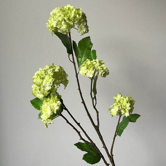Sneeuwbal Spray - Groen