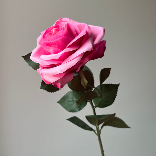Roos - Roze