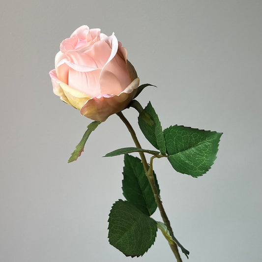 Roos half open - Licht Roze