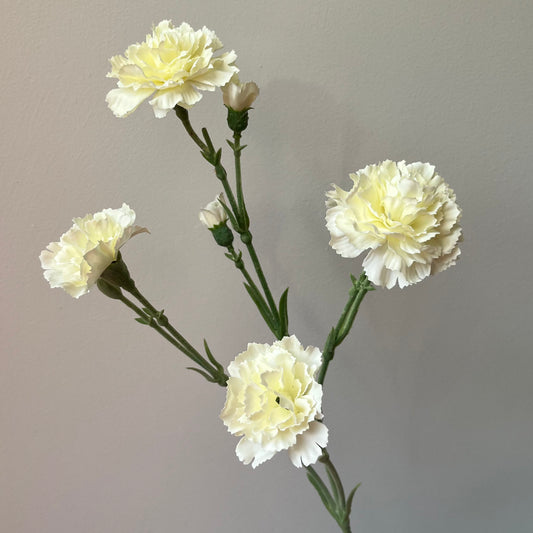 Dianthus Spray - Crème