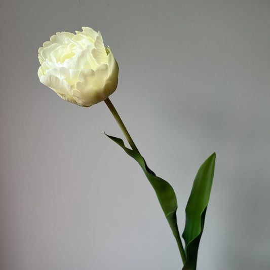 Tulp Golf - Wit