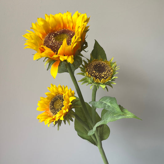 Zonnebloem Spray - Geel