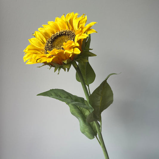 Zonnebloem - Geel