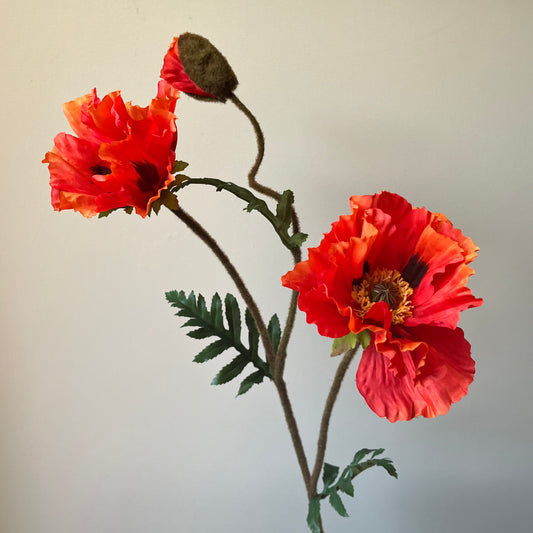 Poppy (Klaproos) Spray - Rood