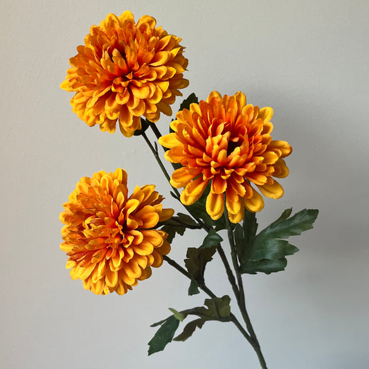 Chrysant Spray - Oranje