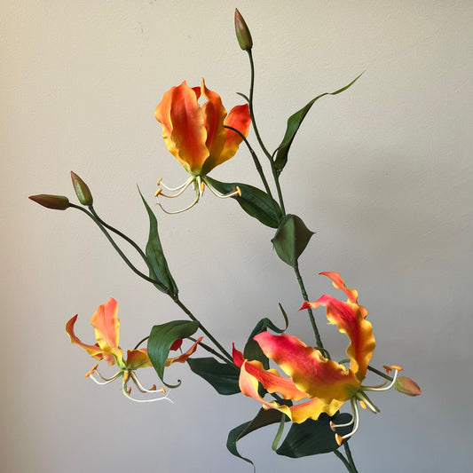 Gloriosia (Klimlelie) Spray - Oranje/Geel
