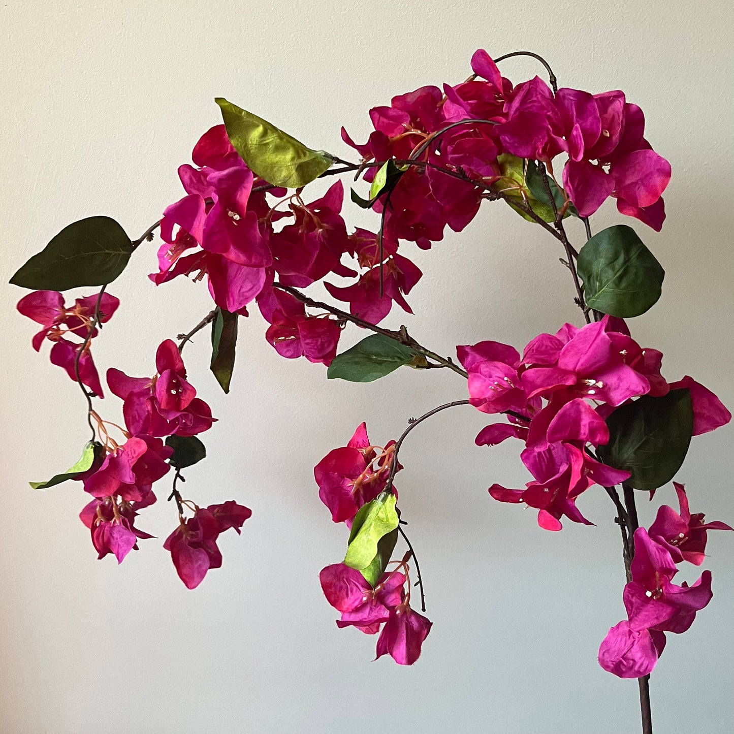 Bougainvillea Hang - Fuchsia