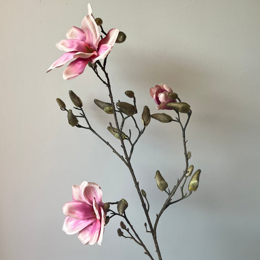 Magnolia - Roze