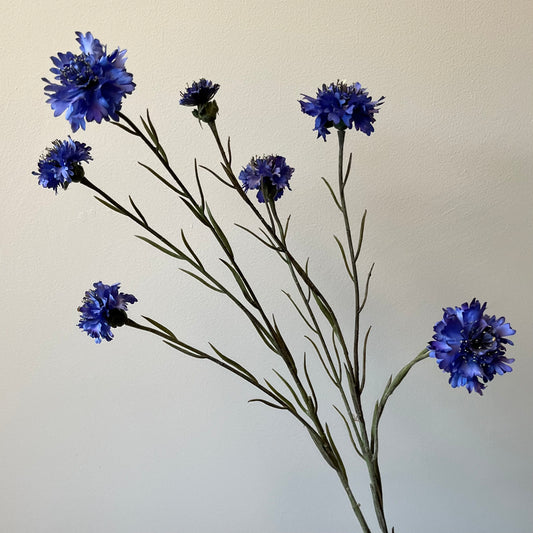 Korenbloem Spray - Blauw