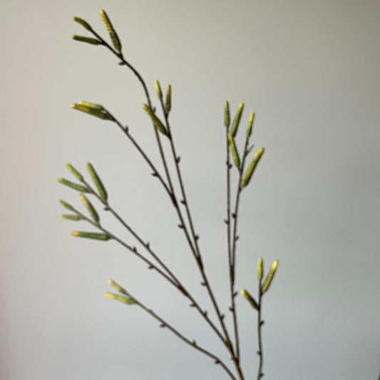 Alder Spray (Elzen tak) - Groen