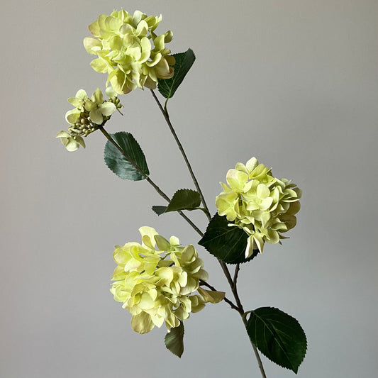 Hydrangea (Hortensia) Spray - Groen