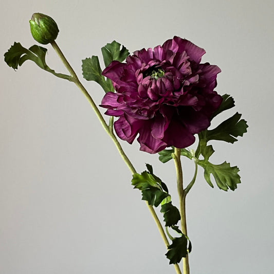 Zinnia Spray - Paars