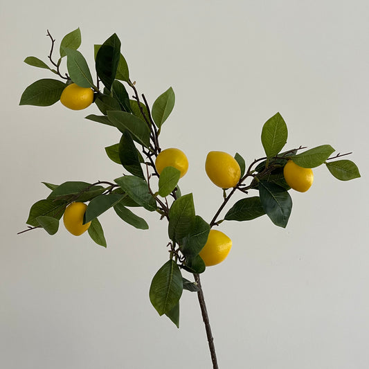 Citroen Fruittak - Geel