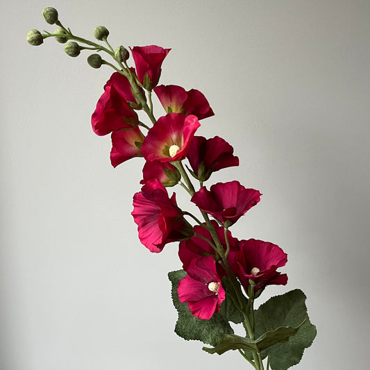 Alcea (Stokroos) - Fuchsia