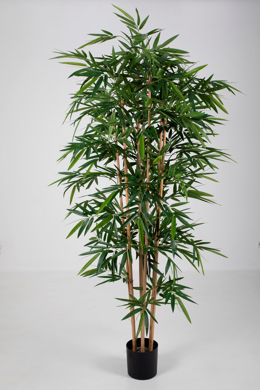 New Bamboo Tree UV-bestendig (210cm)