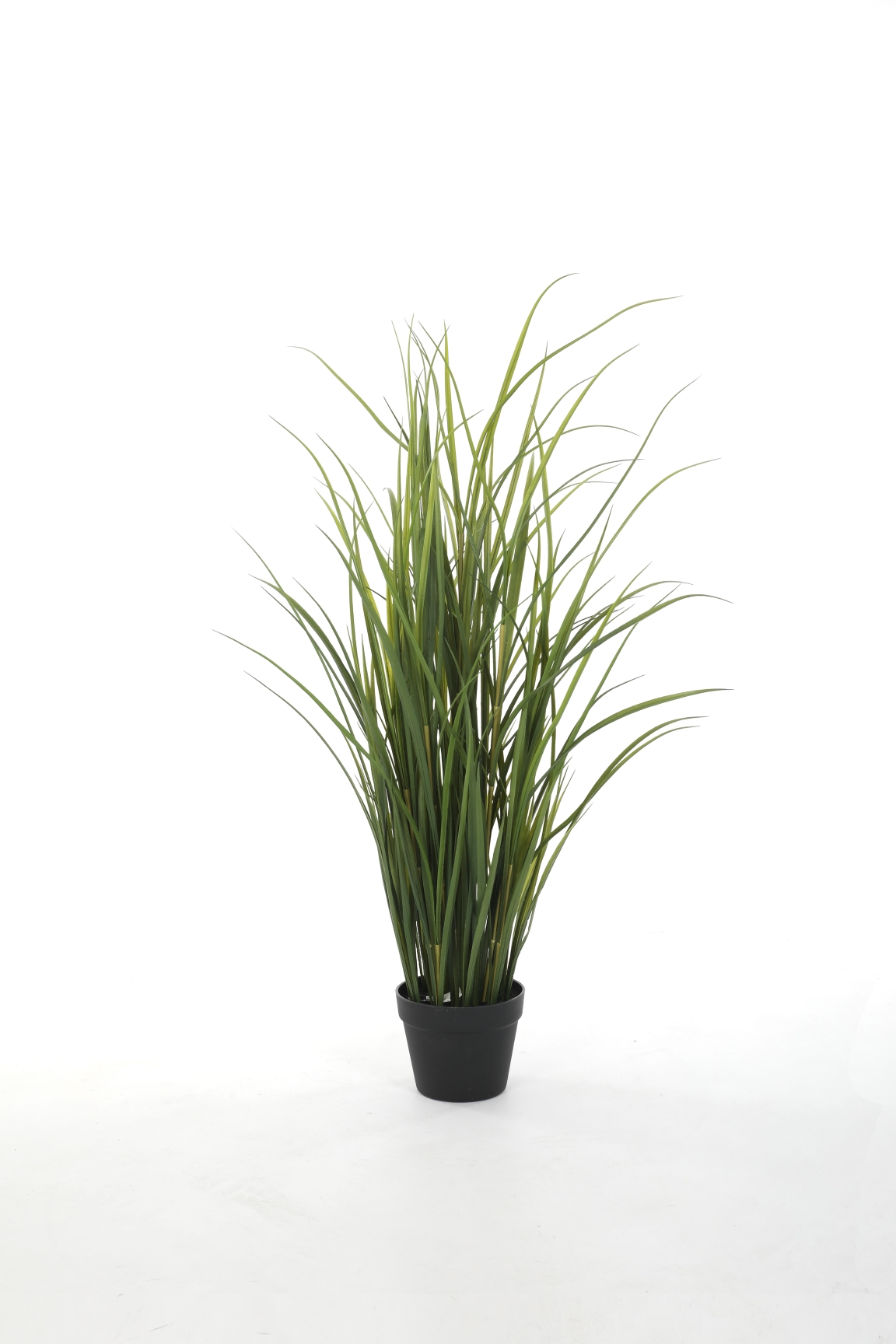 Miscanthus UV-bestendig (122cm)