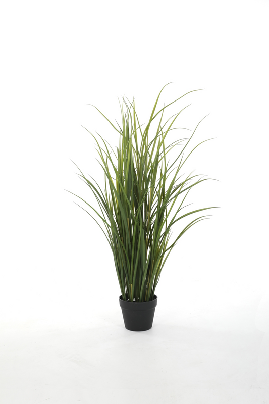 Miscanthus UV-bestendig (122cm)