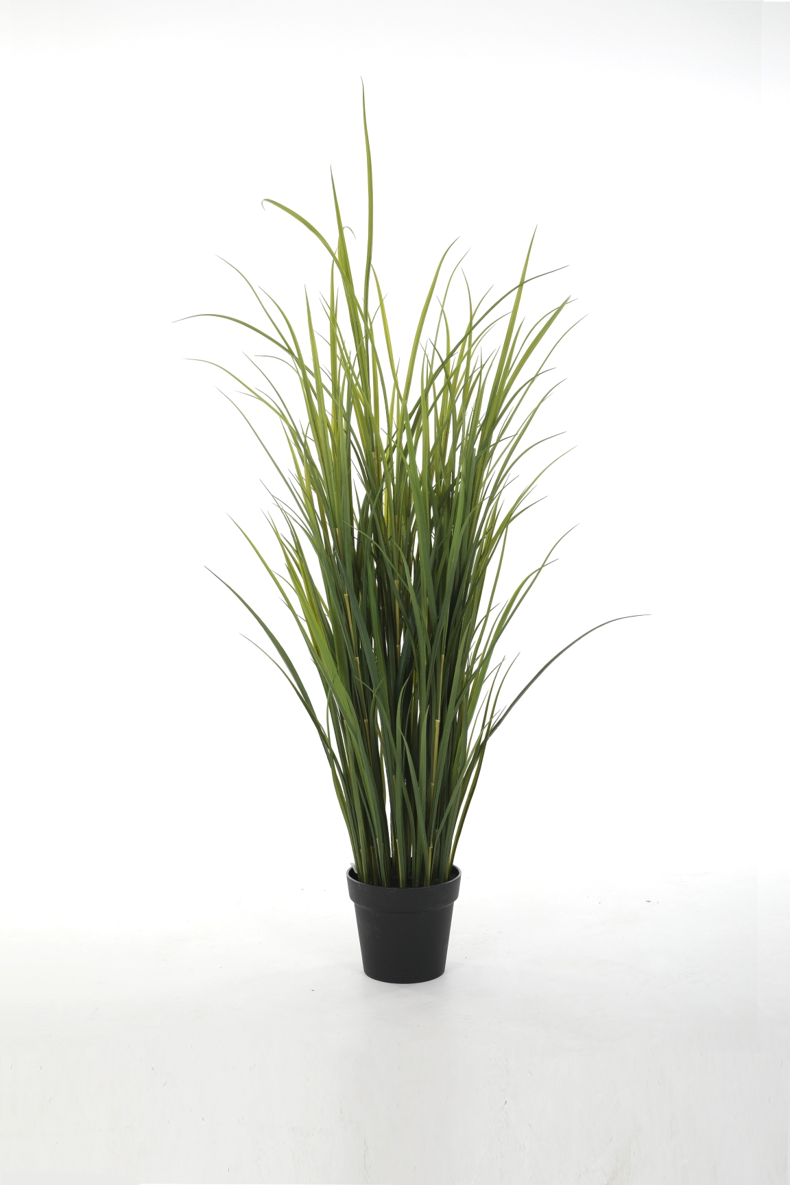 Miscanthus UV-bestendig (142cm)