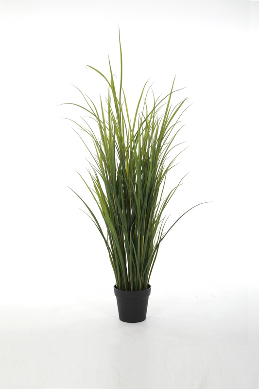 Miscanthus UV-bestendig (142cm)